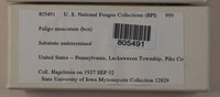 Image Associated With the Occurence